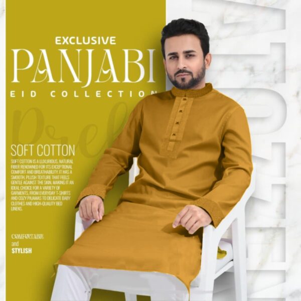 1Pcs Premium panjabi For Mens(Kathali/Golden)