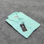 Full Sleeve Casual Shirt(Pest)